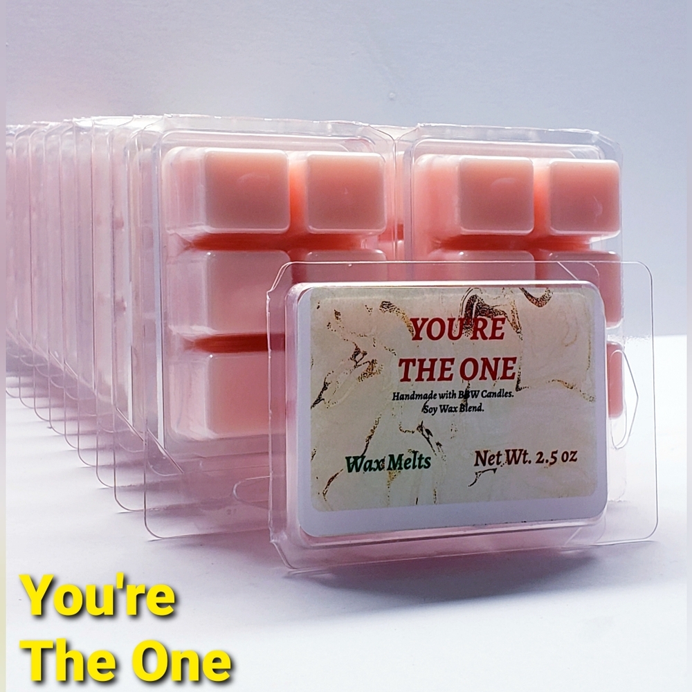 YOU'RE THE ONE -Bath & Body Works Candle Wax Melts- $8 per pack